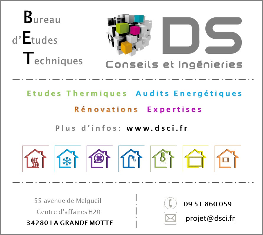 DS CONSEILS ET INGENIERIES